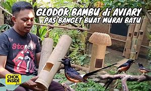 Glodok Murai Batu Dari Paralon